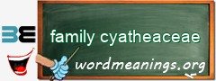 WordMeaning blackboard for family cyatheaceae